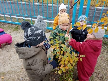 Familia в Иваново - ТРЦ Серебряный город